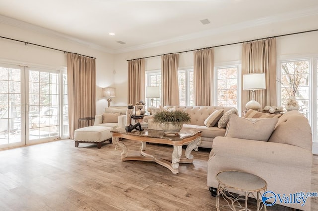 living room featuring crown molding and light hardwood / wood-style flooring