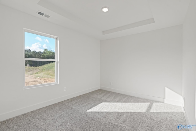 carpeted spare room featuring a raised ceiling and a wealth of natural light