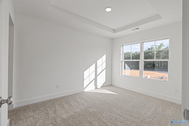 carpeted spare room featuring a raised ceiling