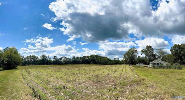 view of yard featuring a rural view