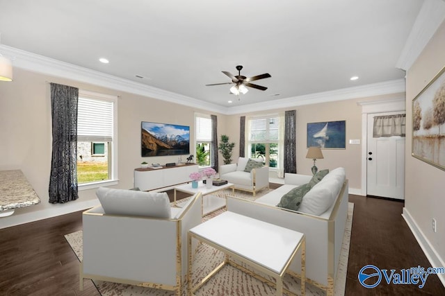 living room with crown molding, plenty of natural light, ceiling fan, and dark hardwood / wood-style floors