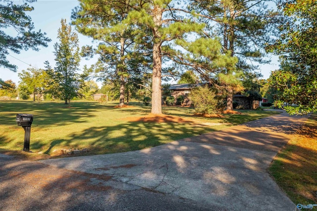 view of community featuring a yard