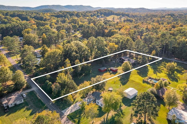 birds eye view of property featuring a mountain view