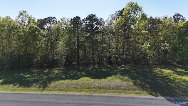 14 Worthington Ln, Guntersville, AL 35976