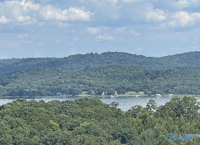 Listing photo 3 for 48AC Mccorkle Mountain Rd, Scottsboro AL 35769