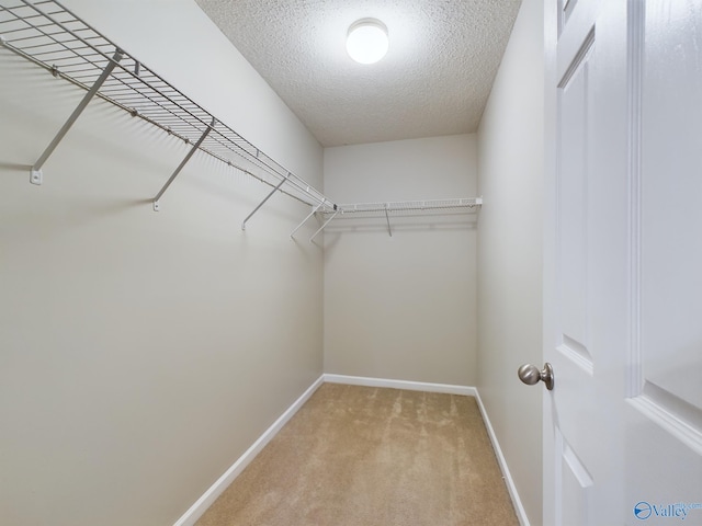 spacious closet featuring carpet floors