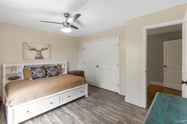 bedroom featuring ceiling fan, dark hardwood / wood-style floors, and a closet