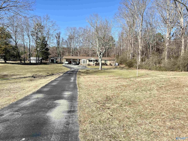 view of road with aphalt driveway