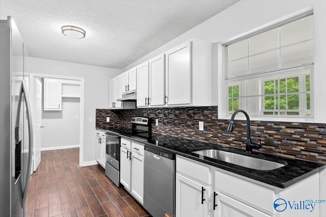 kitchen with a sink, under cabinet range hood, decorative backsplash, baseboards, and appliances with stainless steel finishes