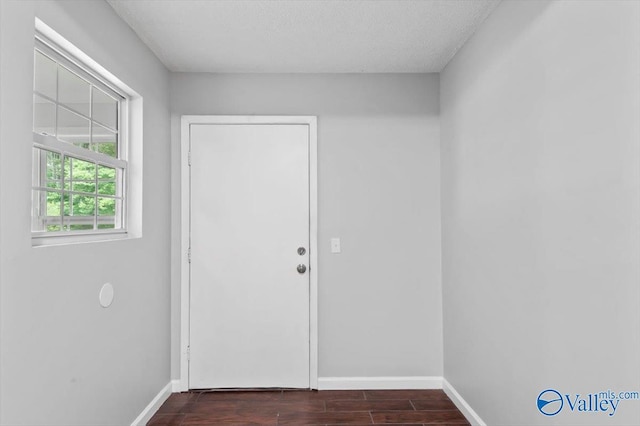 entryway with baseboards and dark wood-type flooring