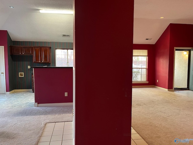 kitchen with light carpet, vaulted ceiling, and a wealth of natural light