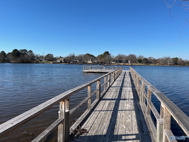 dock area with a water view