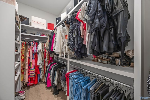 spacious closet with wood-type flooring