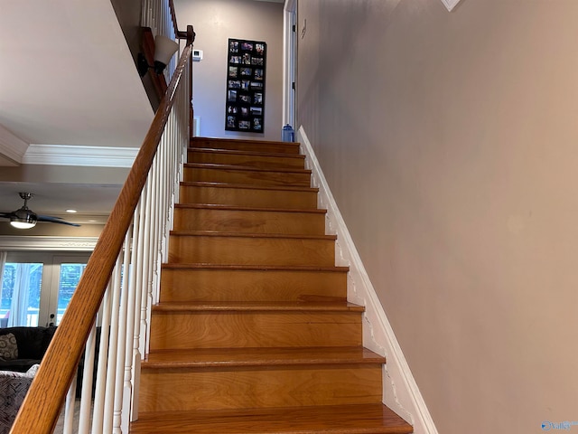 stairs with ceiling fan and crown molding