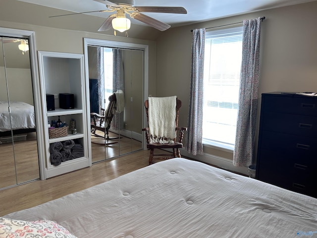 bedroom with multiple windows, a ceiling fan, multiple closets, and wood finished floors