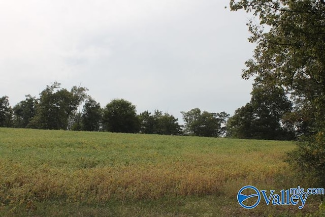 Listing photo 3 for 13.75ACRES Chavies Rd, Rainsville AL 35986