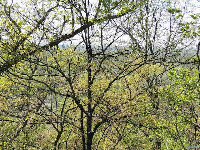 exterior space featuring a forest view