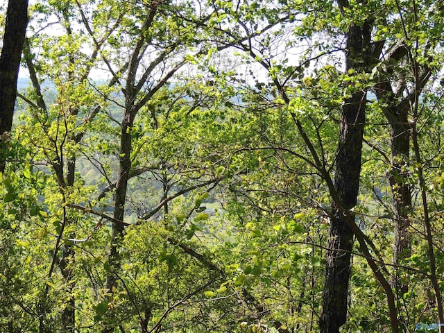 view of nature featuring a view of trees