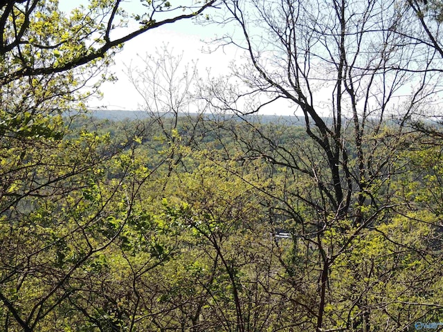 view of mountain feature with a view of trees
