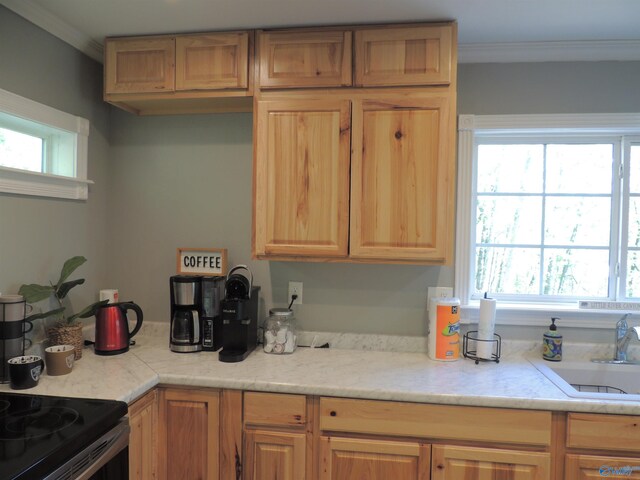 kitchen with light countertops, plenty of natural light, and a sink