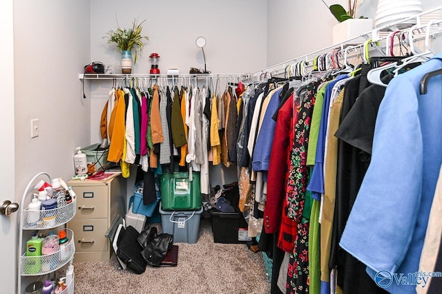 walk in closet featuring carpet floors