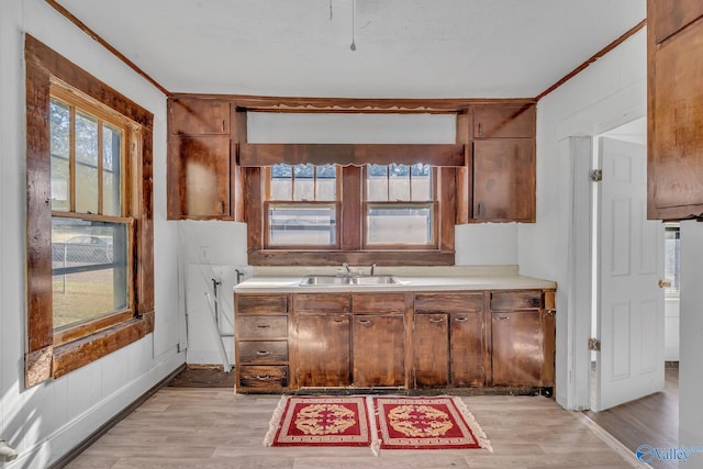 1011 Hermosa Ave, Gadsden, AL 35901 - kitchen featuring light wood finished floors, a sink, and a wealth of natural light