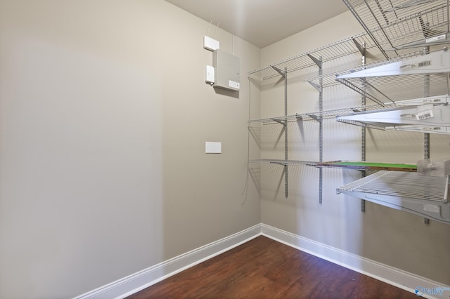 spacious closet featuring wood finished floors