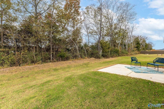 view of yard featuring a patio