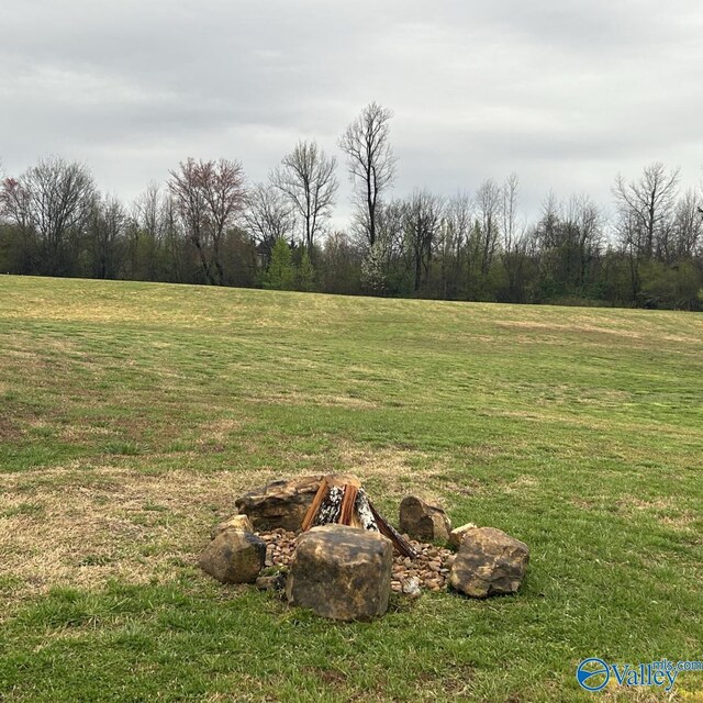 3.71ACRES County Road 155, Higdon, AL 35979