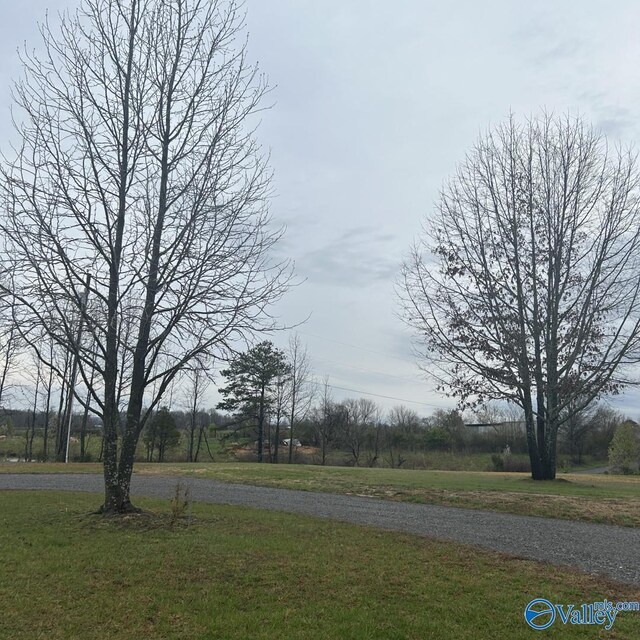 3.71ACRES County Road 155, Higdon, AL 35979