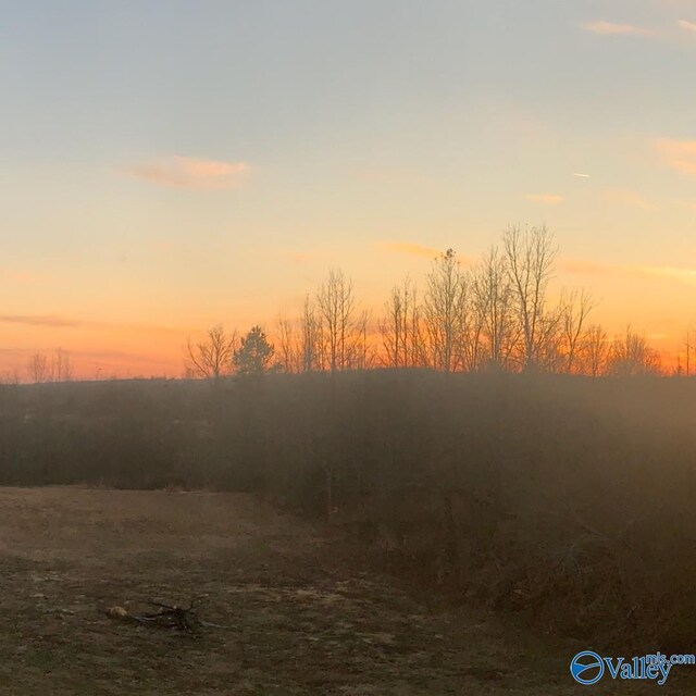3.71ACRES County Road 155, Higdon, AL 35979