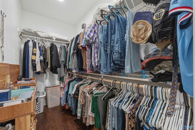 spacious closet with wood finished floors