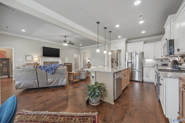 kitchen with light stone countertops, ceiling fan, dark wood-type flooring, appliances with stainless steel finishes, and open floor plan