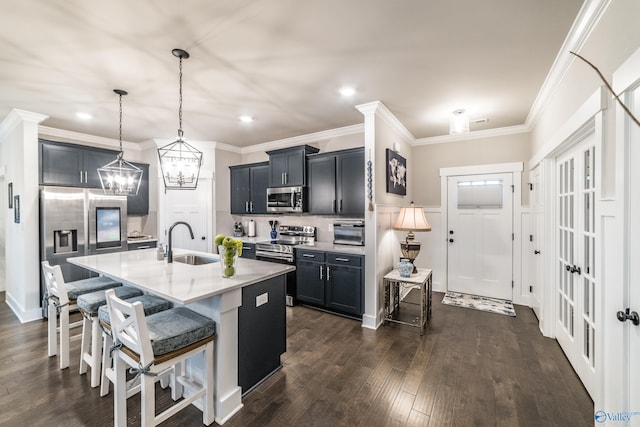 kitchen featuring a kitchen breakfast bar, stainless steel appliances, dark wood-type flooring, sink, and an island with sink