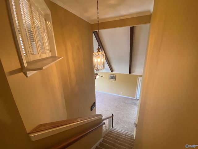 stairs with carpet floors and ornamental molding