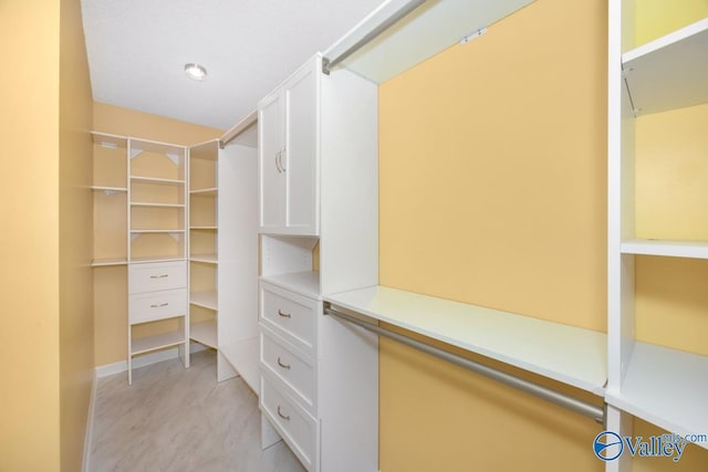 204 Hollington Dr, Huntsville, AL 35811 - view of spacious closet