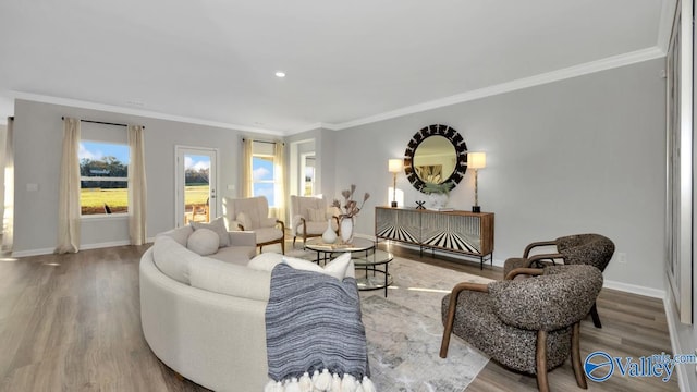 living room featuring crown molding and hardwood / wood-style floors