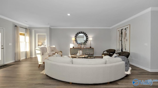 living room featuring hardwood / wood-style floors and crown molding