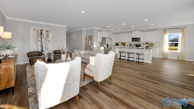 living room with crown molding, dark hardwood / wood-style flooring, and sink