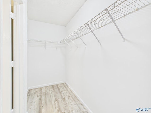 202 Declaration Cir, Madison, AL 35758 - walk in closet with wood finished floors