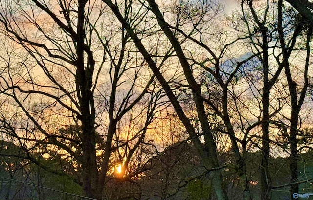 view of nature at dusk