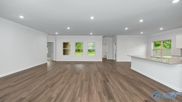 unfurnished living room featuring crown molding, sink, and dark hardwood / wood-style flooring