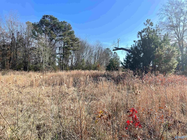 2400 County Road 69, Centre AL, 35960 land for sale