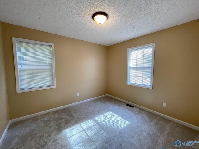 160 Guy Wilson Rd, Hazel Green, AL 35750 - carpeted spare room with visible vents, baseboards, and a textured ceiling