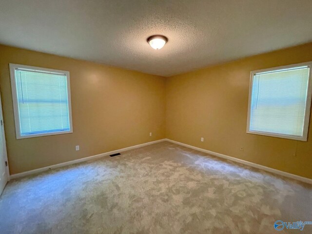 160 Guy Wilson Rd, Hazel Green, AL 35750 - unfurnished room featuring a textured ceiling, baseboards, and carpet floors