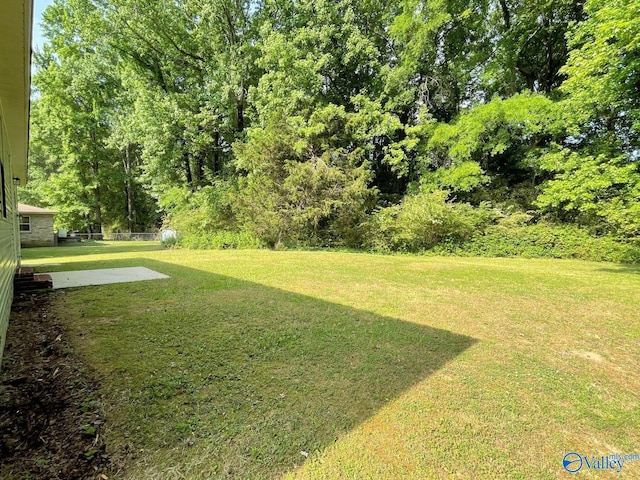 160 Guy Wilson Rd, Hazel Green, AL 35750 - view of yard
