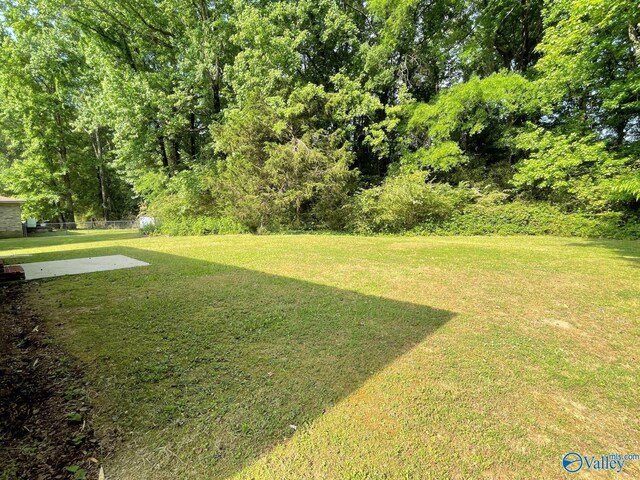 160 Guy Wilson Rd, Hazel Green, AL 35750 - view of yard