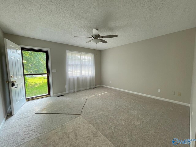 160 Guy Wilson Rd, Hazel Green, AL 35750 - spare room with carpet flooring, a ceiling fan, and a wealth of natural light