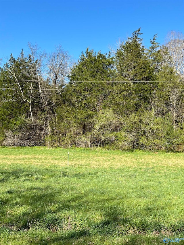 TRACT2 Spring Valley Rd, Taft TN, 38488 land for sale