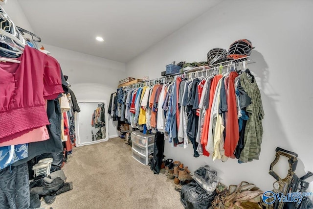 spacious closet featuring carpet flooring